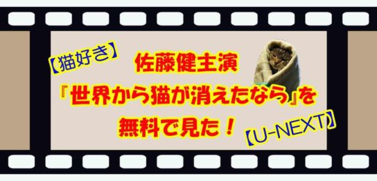 【猫好き】佐藤健主演『世界から猫が消えたなら』を無料で見た【U-NEXT】
