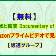 【無料】欅坂46『僕たちの嘘と真実 Documentary of 欅坂46』をAmazonプライムビデオで見る【坂道グループ】